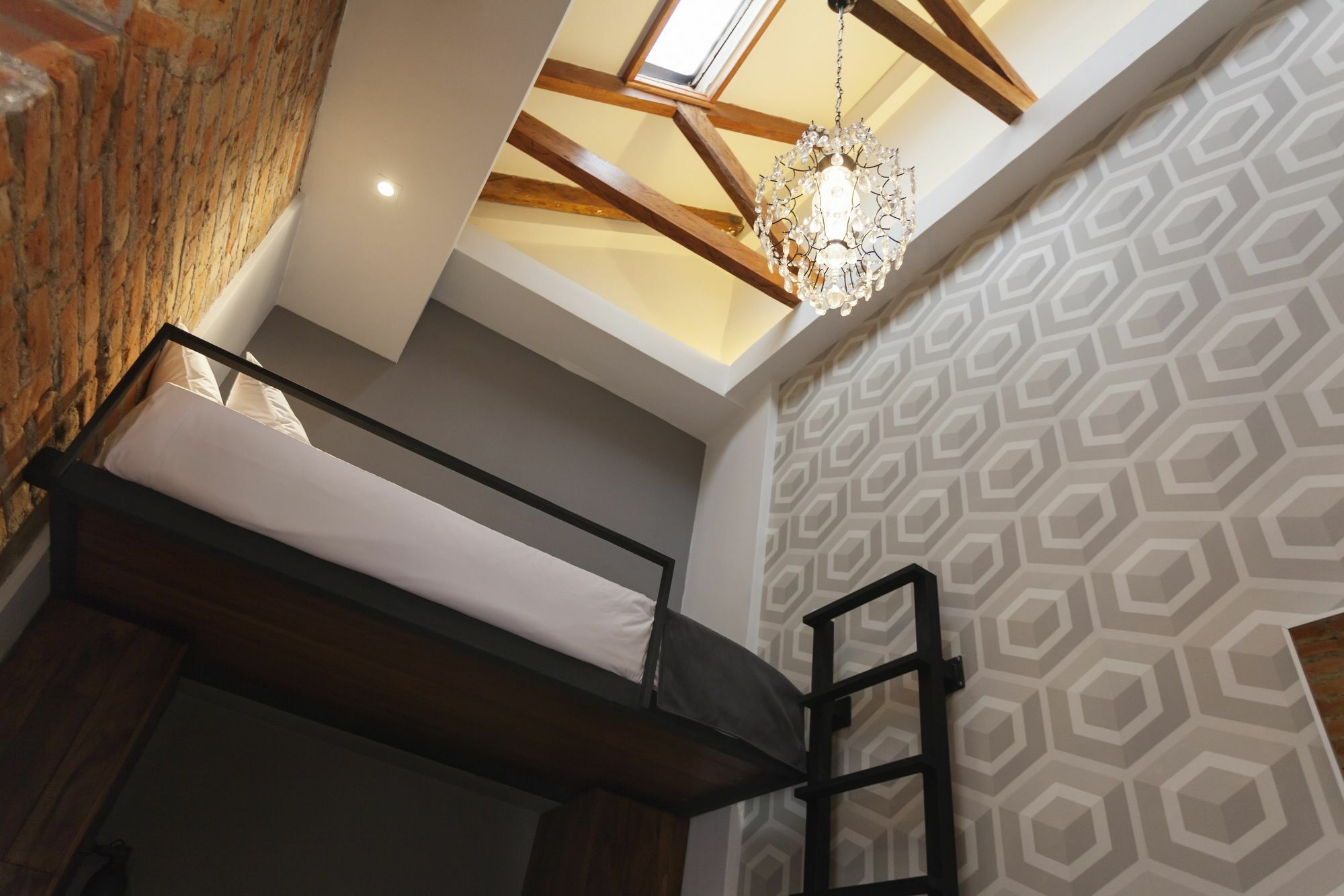 Carlota Sustainable Design Hotel 基多 外观 照片